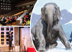 Ростовчан приглашают незабываемо отметить День матери и «Слоноуин»