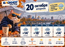 Дождь и магнитная буря ожидаются в Ростове 20 октября