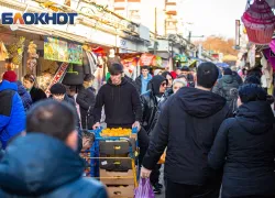 На Дону вырос поток мигрантов накануне полевых работ