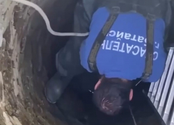 В Батайске собаку достали из глубокого колодца 