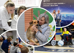 Борьба с раком, безнадзорные животные и футбол на инвалидных колясках: на что получили средства донские НКО
