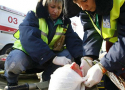 Потерявший управление над своим автомобилем водитель покалечил себя и таксиста в Ростовской области
