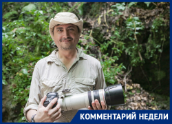 Зоолог рассказал о том, кого кусают комары и возможна ли в Ростовской области лихорадка Денге