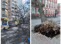 Вырванные с корнем деревья, подтопления и отключения электричества: в Ростовской области бушует ураган