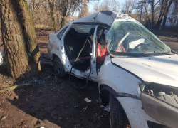 В Ростовской области «Лада» врезалась в дерево, есть погибший