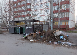 Из-за запрета выбрасывать ветки и листву в мусорные жбаны ростовчане будут реже обрезать деревья