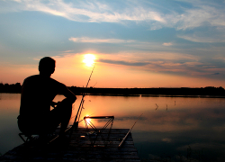 Шамайку исключат из Красной книги Ростовской области в 2024 году
