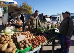 В Ростовской области цена на картофель выросла за месяц