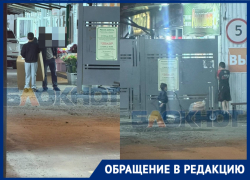 Маленьких детей заметили за работой на цветочном рынке в Ростове