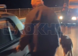 В Донецке Ростовской области мужчина привязал собаку к машине: полиция выяснила обстоятельства инцидента