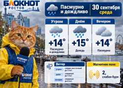 Дождь зарядит в Ростове 30 сентября при +15 градусах