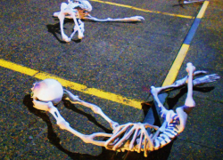 Скелеты мерзких чудовищ шокировали ростовчан на выставке эпатажной художницы