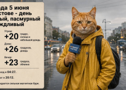 В Ростове ожидаются дожди, сильная магнитная буря и пасмурная погода
