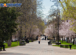 Синоптики обещают небольшое похолодание в Ростове