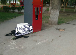 В Ростовских парках продолжают травить собак
