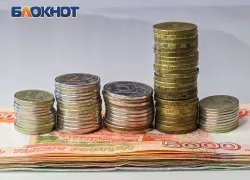 На Дону погашена задолженность по зарплате на 25 млн рублей