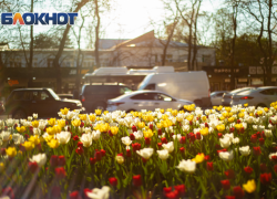 Синоптики спрогнозировали теплый март после резкого потепления в Ростове