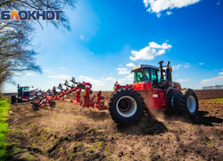 Из-за заморозков и засухи в Ростовской области вновь сокращен прогноз урожая зерновых