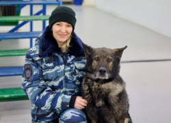 В Ростове-на-Дону служебный пес Вегас завершил карьеру и вышел на пенсию 