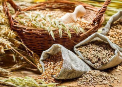 Донскую продукцию оценят во Франции