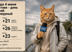 Жару до +26 градусов и слабую магнитную бурю прогнозируют в Ростове 