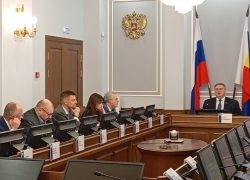 В донском парламенте обсудили тарифы на электричество и микропластик в плаценте беременных женщин