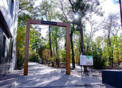 В Железнодорожном районе Ростова появится дендрологический парк