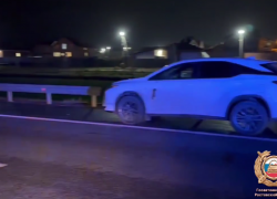 Под Ростовом под колёсами Lexus погиб пешеход, перелезавший через барьер