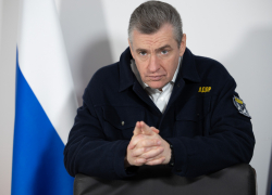 ЛДПР предложила лишать гражданства тех, кто получил паспорт ради льгот и жилья