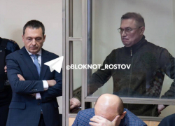 Экс-советник губернатора Ростовской области Гончаров требует вернуть дело на дополнительное расследование