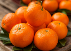 Мандарины могут подорожать к Новому году в Ростовской области 