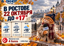 В Ростове 22 октября потеплеет до +17 градусов