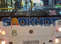 «Слава Богу, что живы»: ростовчанка пожаловалась на опасную поездку в автобусе №45
