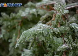 Штормовое предупреждение в Ростовской области: заморозки до -4°C