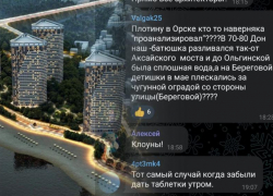 «Пример Орска ничему не научил»: что жители Ростова думают о ЖК на месте Левобережной рощи