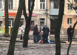 Опасным для жизни назвали Ростов общественники после гибели молодой женщины под упавшим деревом