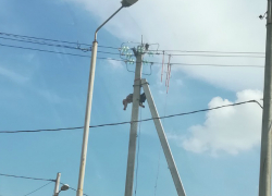 Труп убитого током обгоревшего мужчины завис на столбе в Ростове