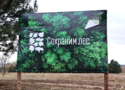 Бизнесвумен за незаконную рубку деревьев оштрафовали на 1 млн рублей в Ростовской области