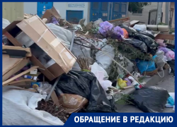 В Батайске возле вокзала несколько дней не могут дождаться вывоза мусора