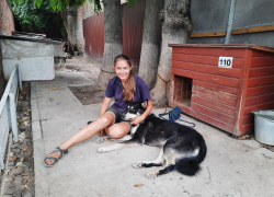 Бездомный пес из Ростова нашел любящую семью в Германии