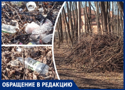 В Ростове с наступлением весны роща обросла мусором и сухостоем 