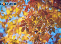 Жаркое бабье лето: в Ростовскую область до выходных пришло тепло