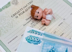 Обманом сорвать куш в виде детских пособий в Ростовской области задумали два прохиндея 
