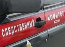 Двое малышей умерли, задохнувшись от жары в раскаленной машине в Ростове