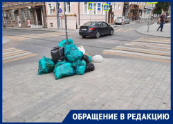 В центре Ростова несколько дней не убирают кучи мусора