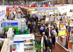 Испанская компания хочет производить на Дону консервы 