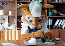 Как превратить отходы в полезные вещи: идеи для творчества и экологичного образа жизни от Белочки ТКОшки