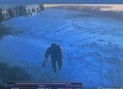 Полицейские разыскивают вооруженного винтовкой мужчину в Ростовской области 