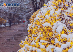 В Ростове-на-Дону будет дождливо и пасмурно 