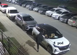 Леди в капюшоне устроила показательную казнь боковым зеркалам машин в Суворовском